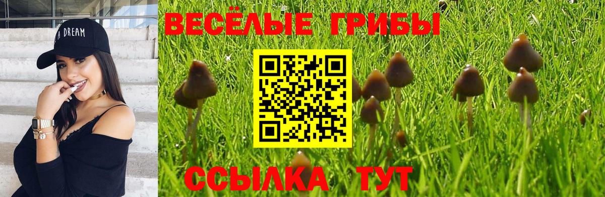 Псилоцибиновые грибы мухоморы Коммунар